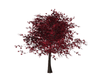tree-1586365_960_720.png